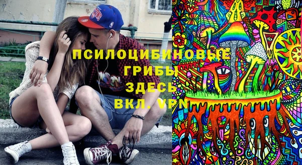 крисы Новокубанск