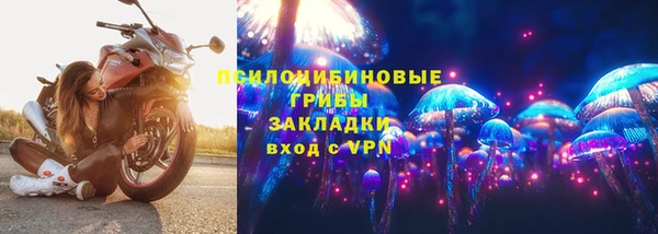 крисы Новокубанск