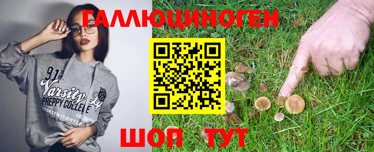 Псилоцибиновые грибы ЛСД Клинцы